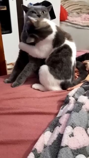 Все таки тяжело быть женщиной❤️