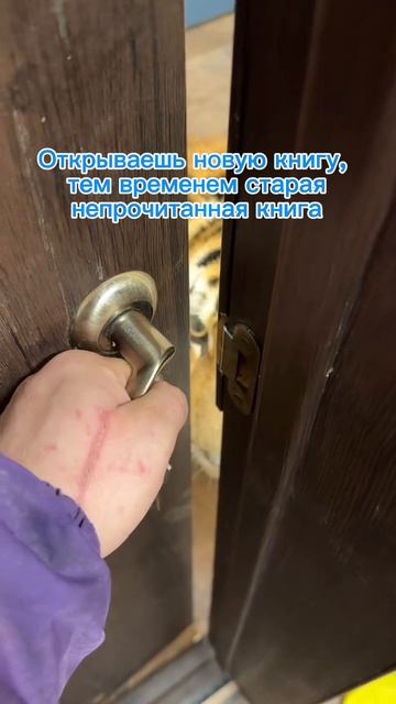Какая книга ждёт вас на полке?