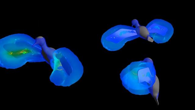 Simulation of a bird using profile motion in dynamic mesh. ANSYS Fluent.