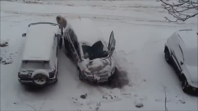 ДЕБИЛЫ ЗА РУЛЕМ