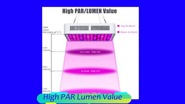 5 Best LED Grow Lights 2019
