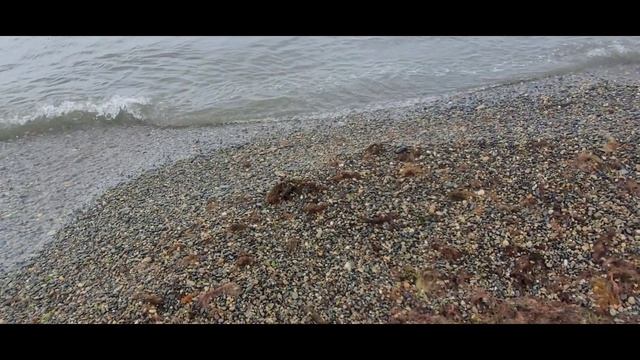 Что творится сегодня на море.