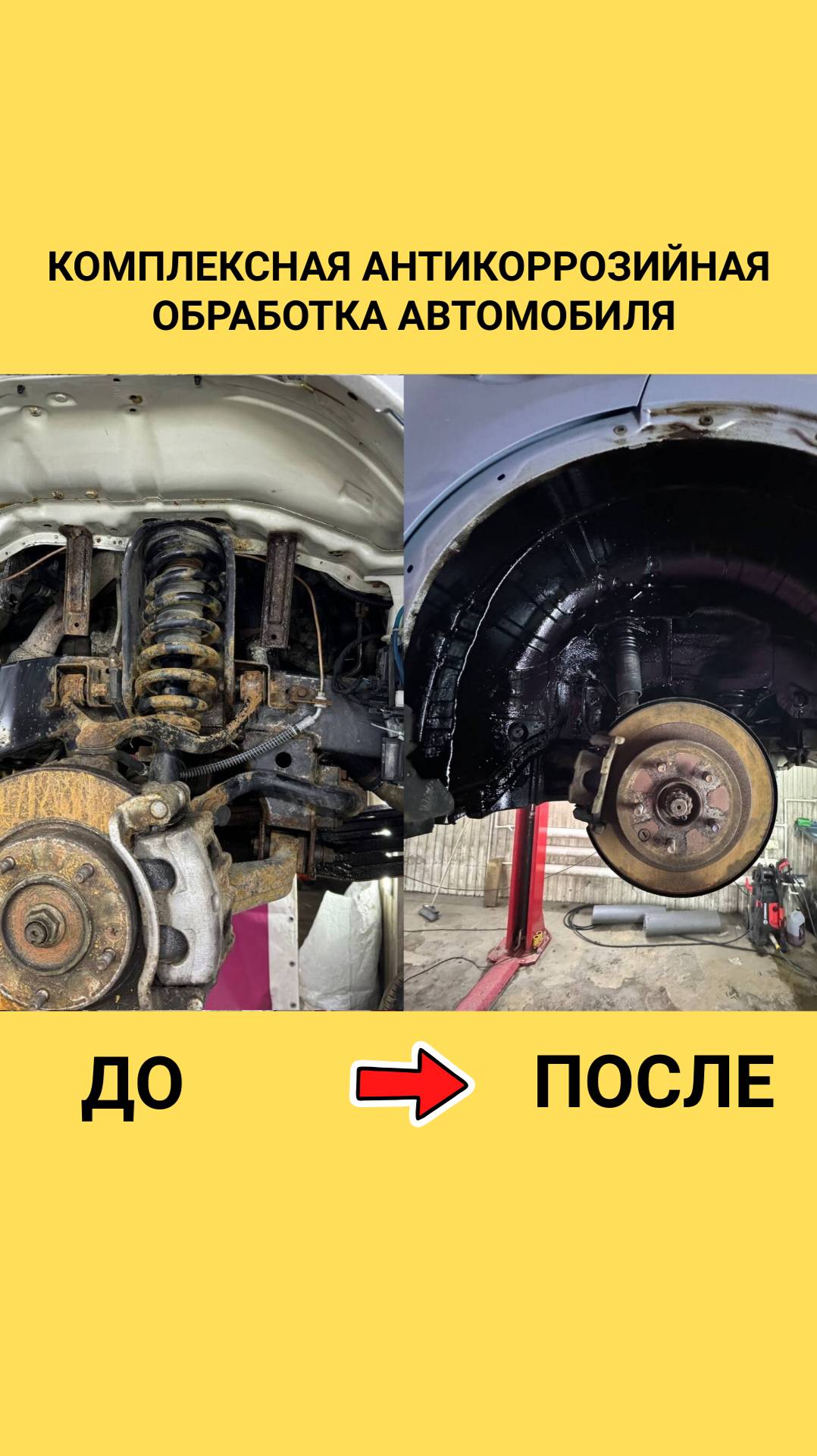 Антикор Истра
