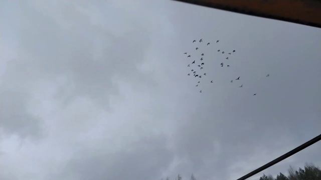 согласен , жёстко , но по-другому никак 😒