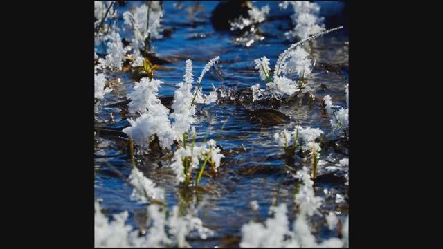 Март. Антонио Вивальди.