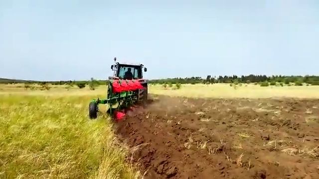 Турецкие плуги Туран.