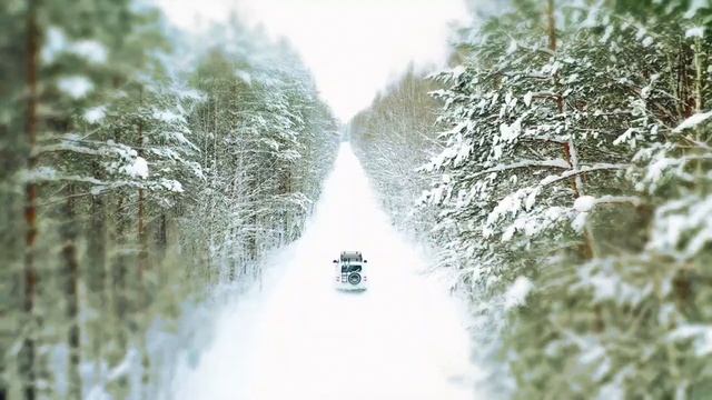 Волшебство сибирской тайги