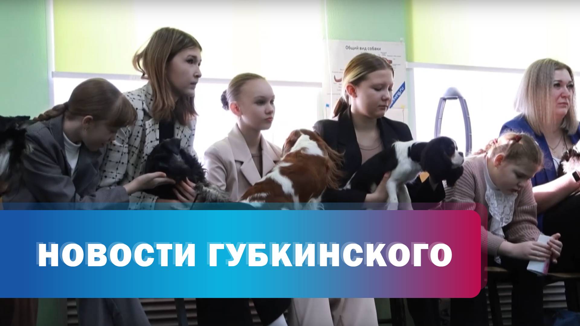 Станция кинологов