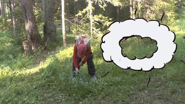 "Лесной дух", мультфильм про лагерь "Эколог"