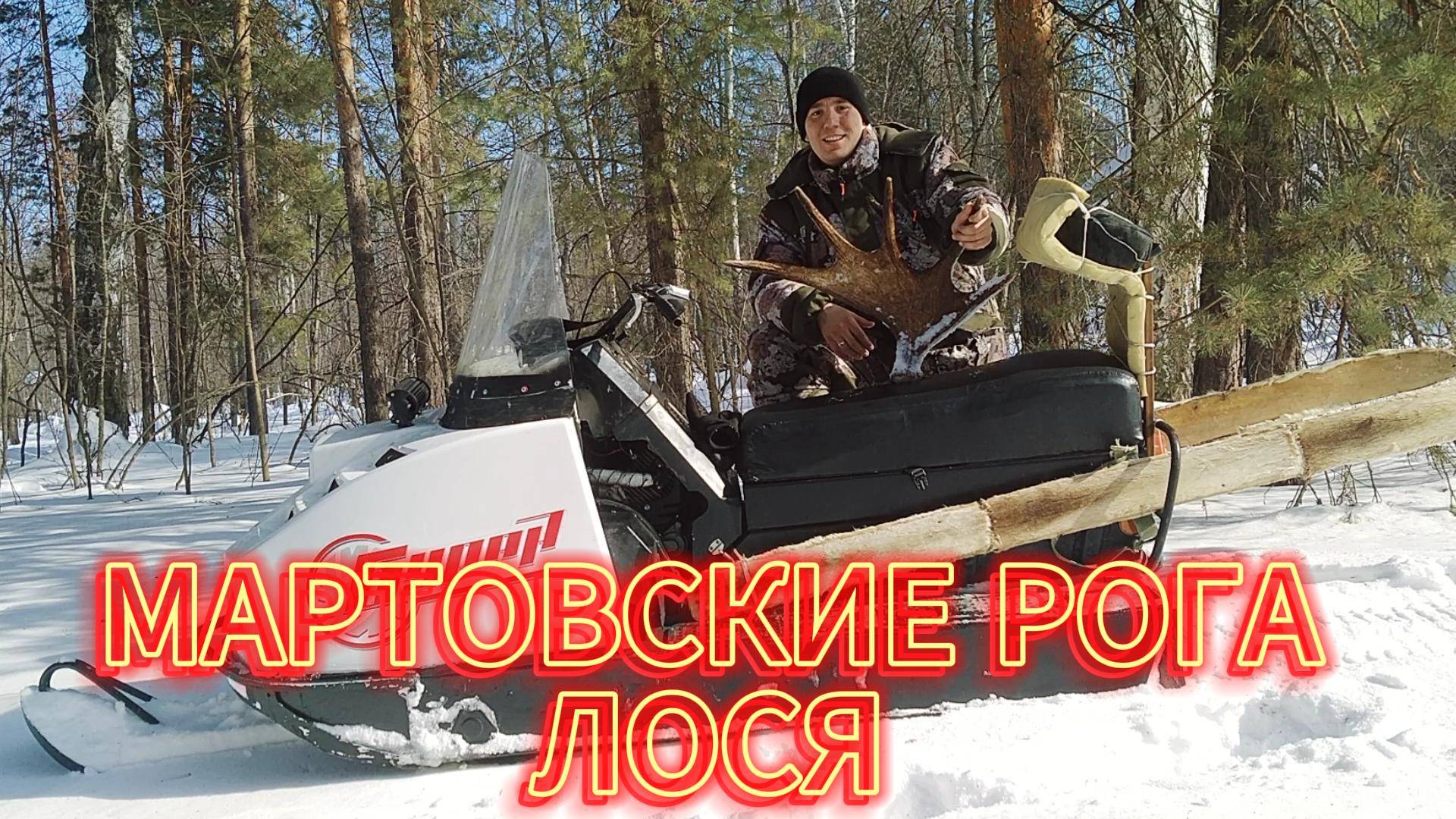 ПОЕЗДКА В ТАЙГУ . СНЯЛ ФОТОЛОВУШКУ . МАРТОВСКИЕ РОГА ЛОСЯША. ЗАБРОШЕННАЯ ИЗБА ПАСТУХОВ. ВОЛКИ .