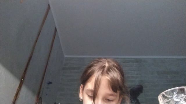 котик