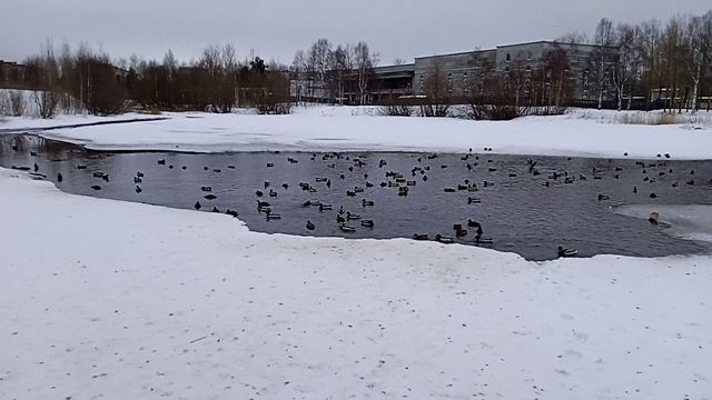VID_20230122_142723