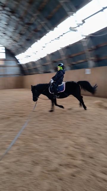 Лера с Наоми, тренировка на посадку, на галопе. #kskcasper, #лошади, #pony, #horse, #наоми #каспер