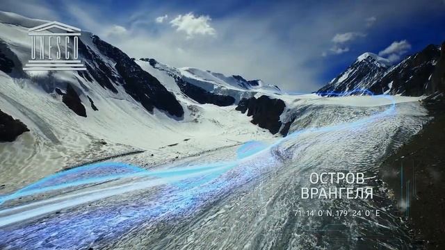 Вся сила суровой сибирской природы в продукции Siberian Wellness!