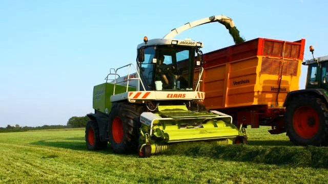 Jurrius bv in het gras