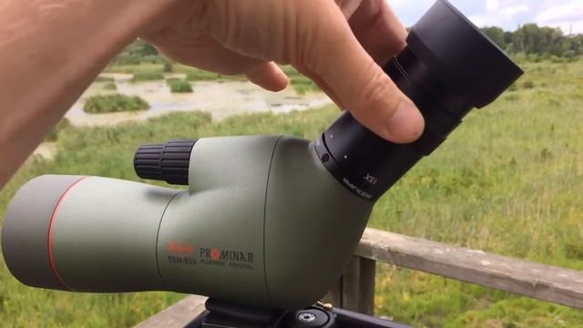 Test av tubkikaren Kowa TSN-553