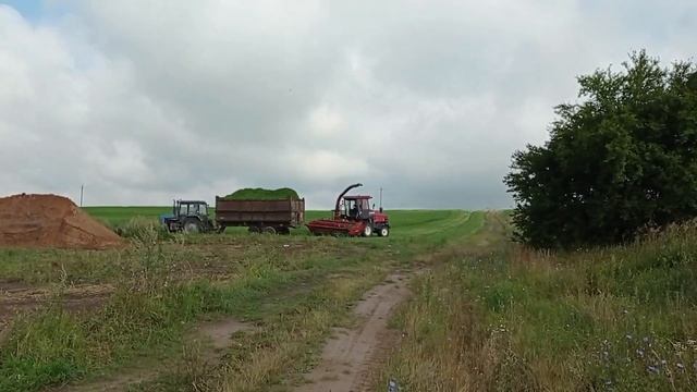 Влог(93)Заготовка силоса