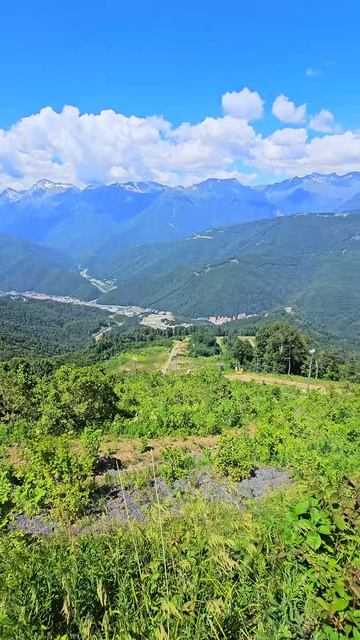 В горах Красной Поляны, Краснодарский край