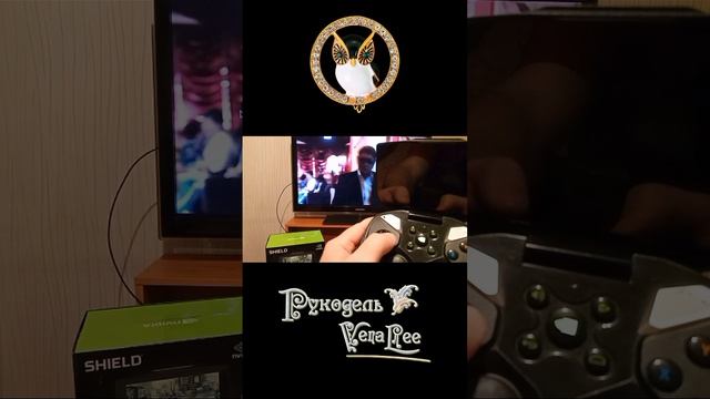Обзор Nvidia Shield Portable №2