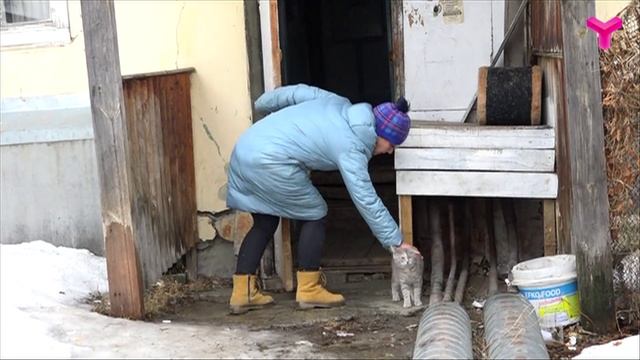 Ответственное воспитание