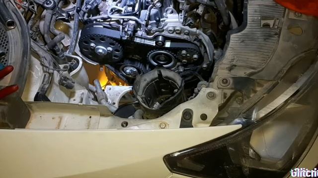 distribucion seat  1.6 tdi
