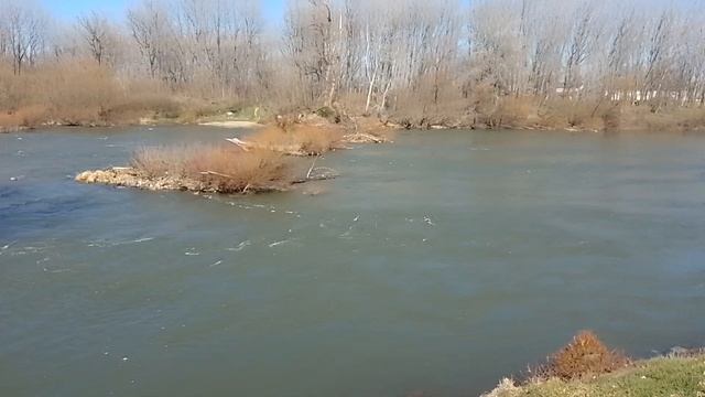 Река Велика Морава - Ћуприја 06.03.2025