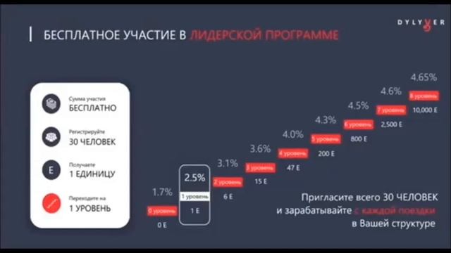 ИДЕЯ С РАЗМАХОМ. DYLYVER