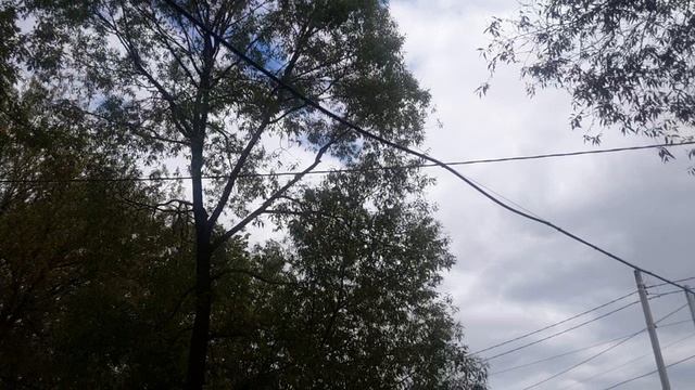 Смелый патриот