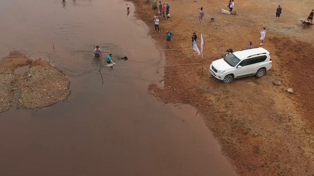 Астрахановские луга. Забег с собаками