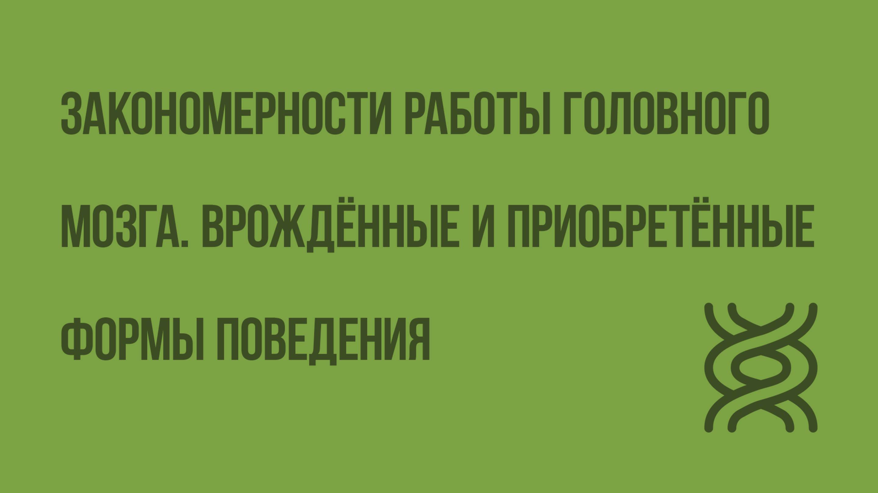 Закономерности работы головного мозга. Врожденные и приобретенные формы поведения. Видеоурок
