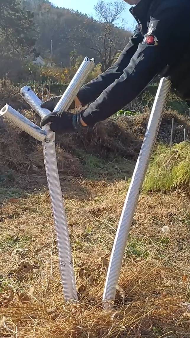 ❄Это поможет молодым деревьям не погибнуть зимой! #shorts #garden #советы