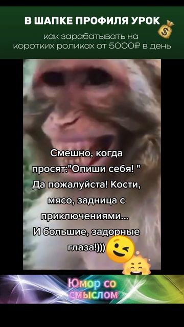 смешно когда просят описать себя...