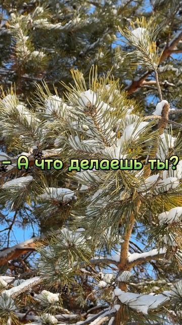 Притча «Великая цель»