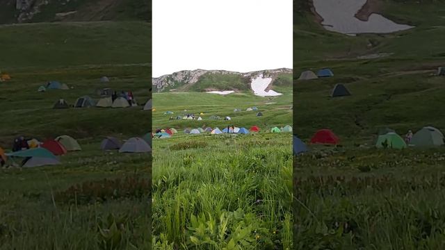 7ed058f3-5c93-44d4-b2b3-286b027d769d-1_all_46805.mp4