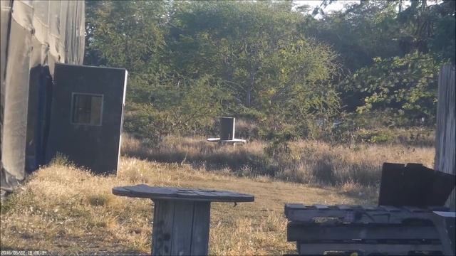 wolverine airsoft bolt, 300 feet