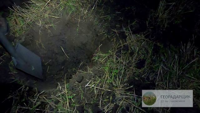 Место клада золотых монет показал подписчик канала "ГЕОРАДАРЩИК".