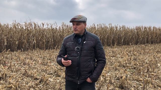 Оранка, рихлення чи Strip-till? Битва технологій на кукурудзі 2020.