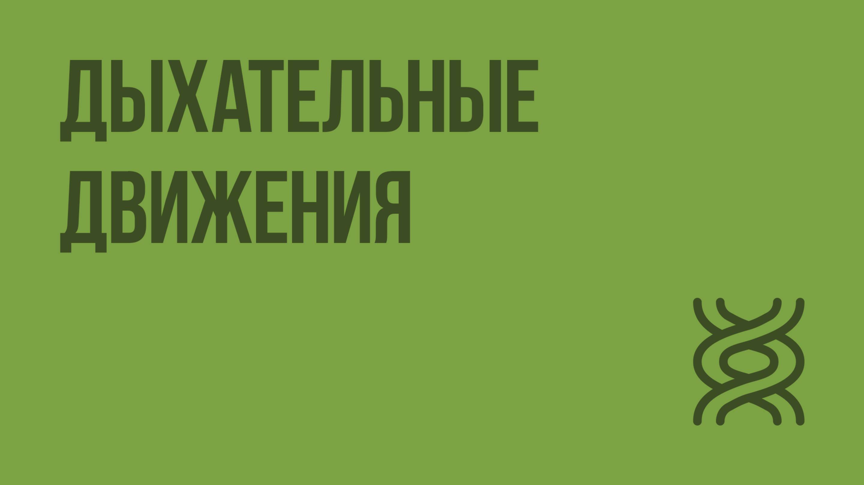 Дыхательные движения. Видеоурок по биологии 8 класс