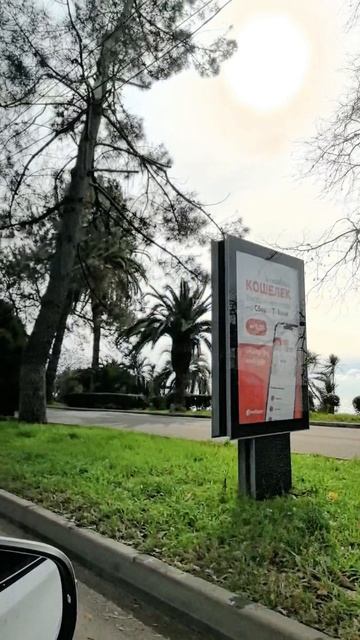 Отдых на море Абхазия 2025