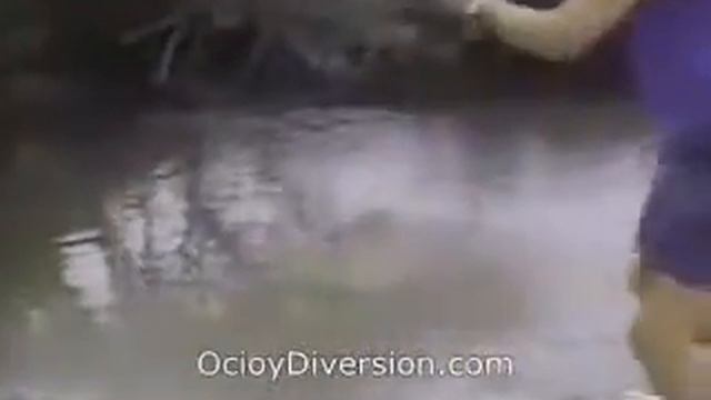 животные кусачки