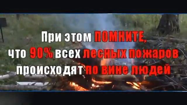 Профилактика лесных пожаров