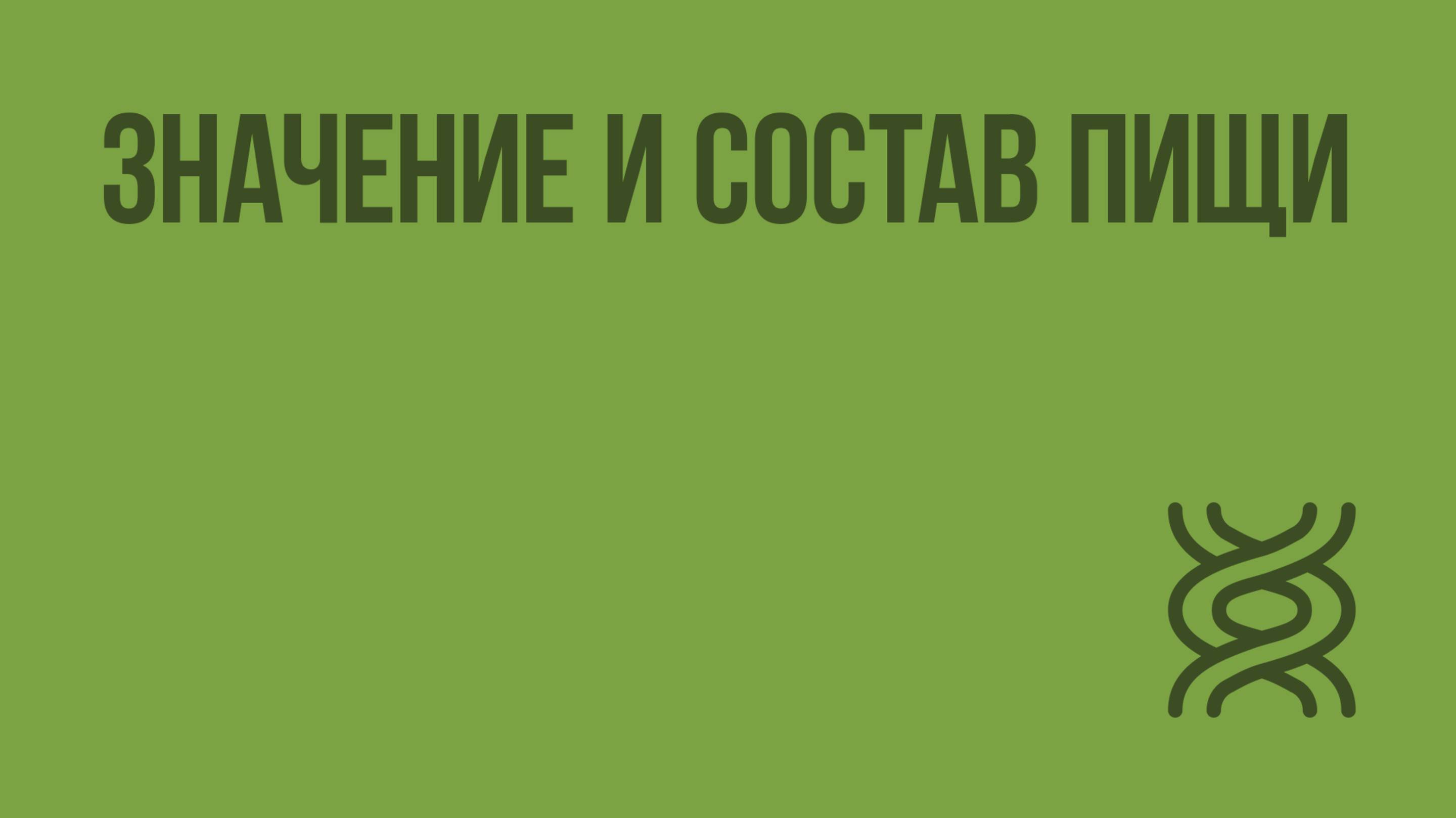 Значение и состав пищи. Видеоурок по биологии 8 класс