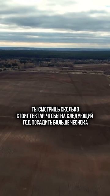 Развитие чесночного производства компании АгроИнвестРФ