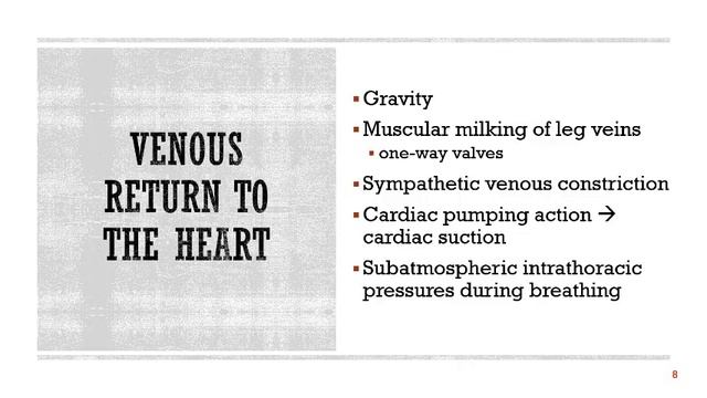 PPT 22 Blood Vessels and Circulation