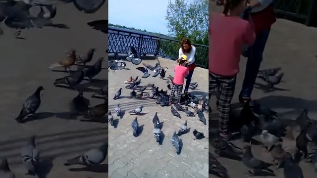 Девушка с ребенкам,кормят голубей.