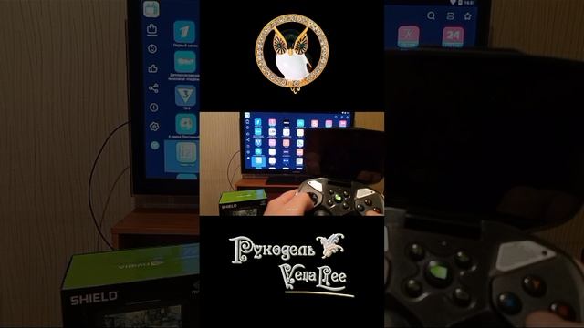 Nvidia Shield Portable №1