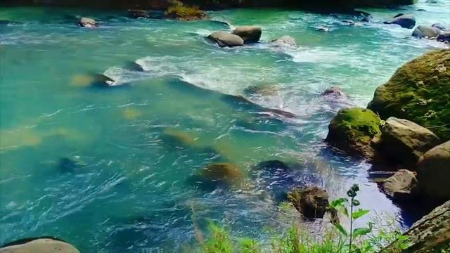 ЗВУКИ ПРИРОДЫ,ШУМ РЕКИ ДЛЯ СПОКОЙСТВИЯ И ГЛУБОКОГО СНА.