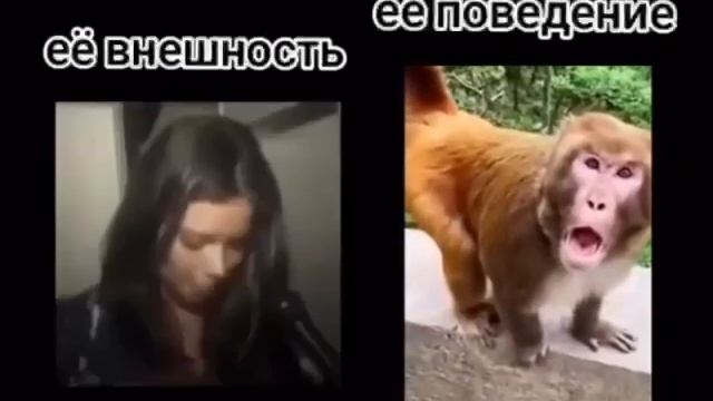 👩❤️👨На первом свидании / На выходных с подругами🐵