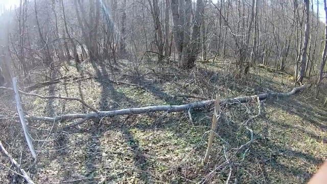 Делаем Солонец для Косуль