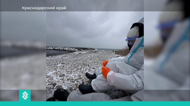 Новости Владимира и Владимирской области за 6 марта 2025 года. Вечерний выпуск